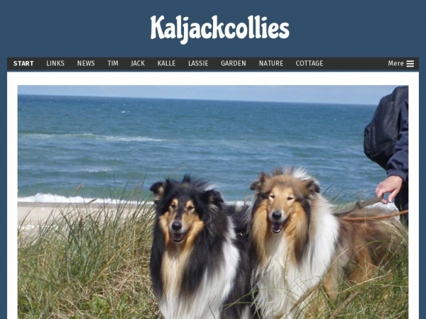 kaljackcollies.dk