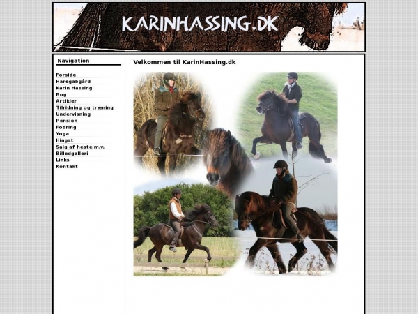 karinhassing.dk