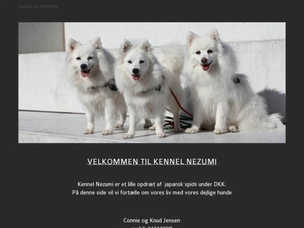kennel-nezumi.dk