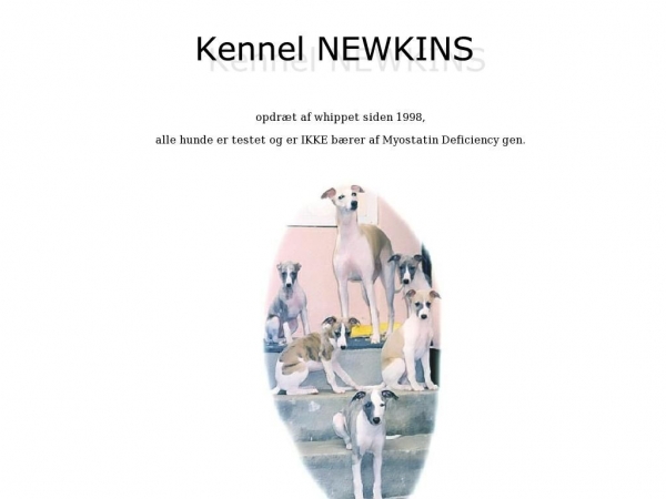 kennelnewkins.dk