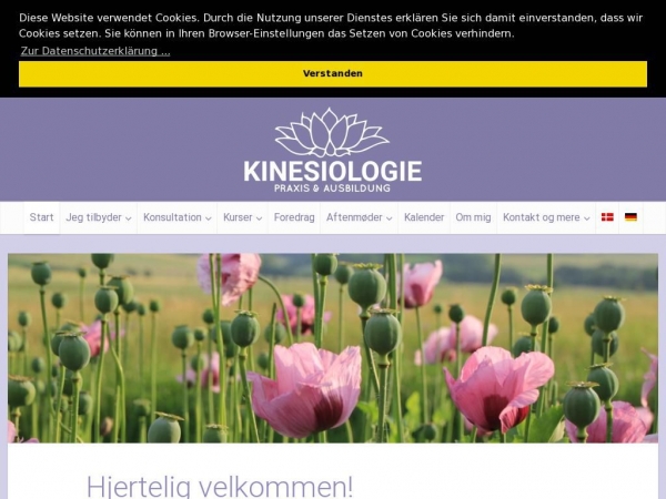 kinesiologisyd.dk
