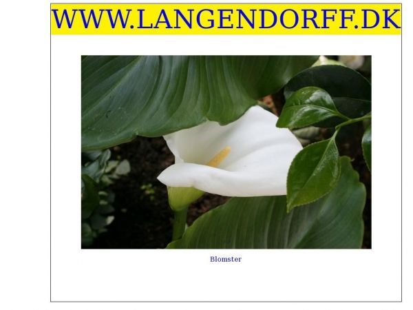 langendorff.dk
