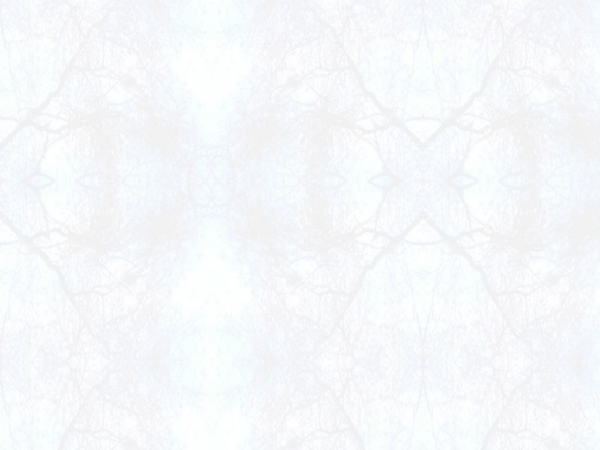 lazyspinningsparrow.dk