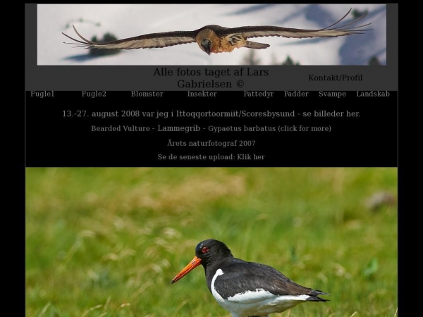 lgfoto.dk