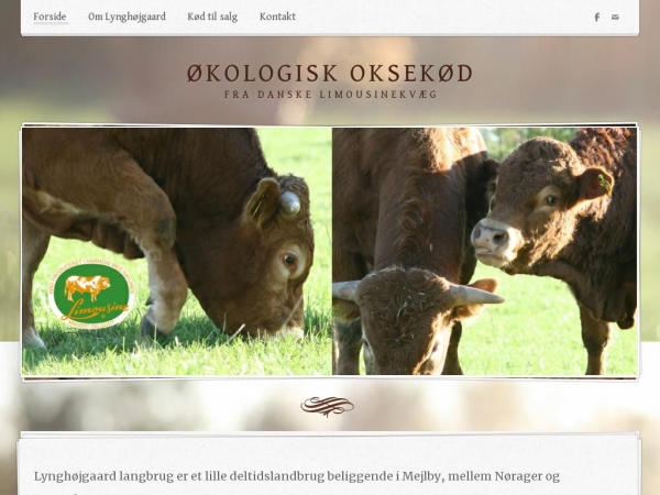 lynghojgaard.dk