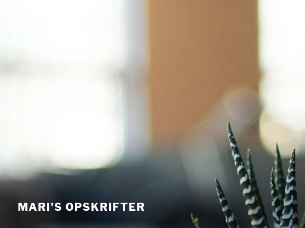 mari.dk