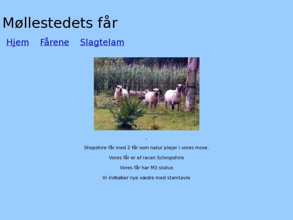 mollestedet.dk
