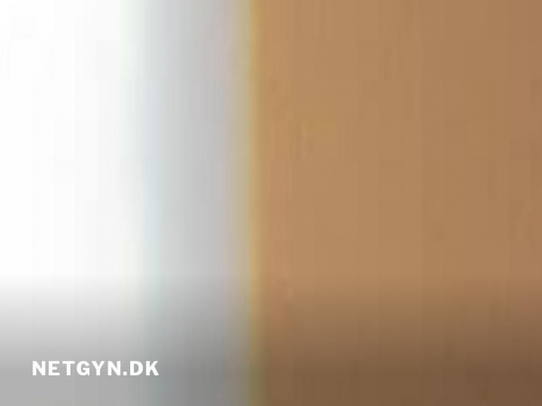 netgyn.dk