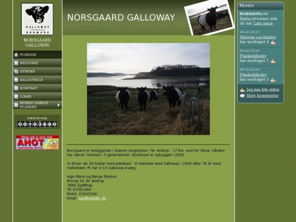 norsgaardgalloway.dk
