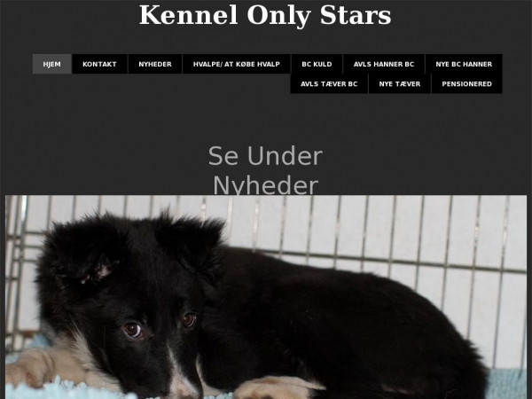 onlystars.dk