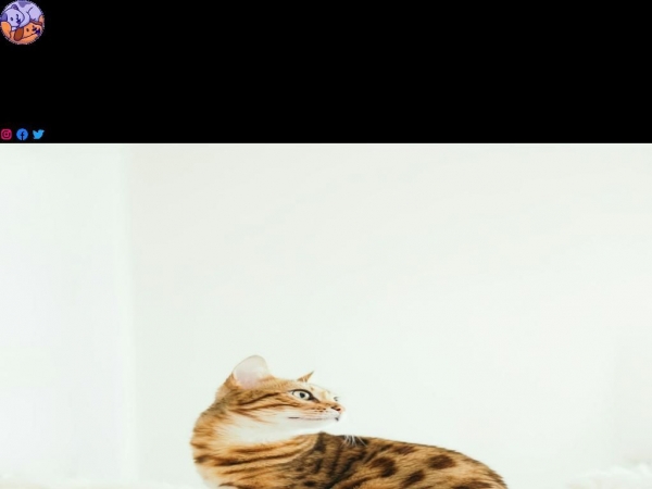 petsexpert.dk