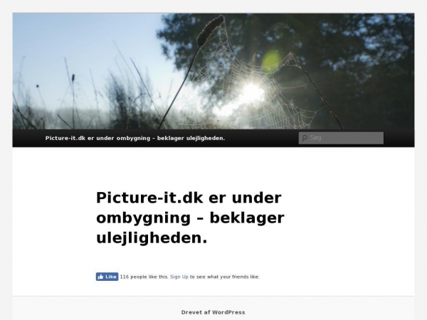 picture-it.dk