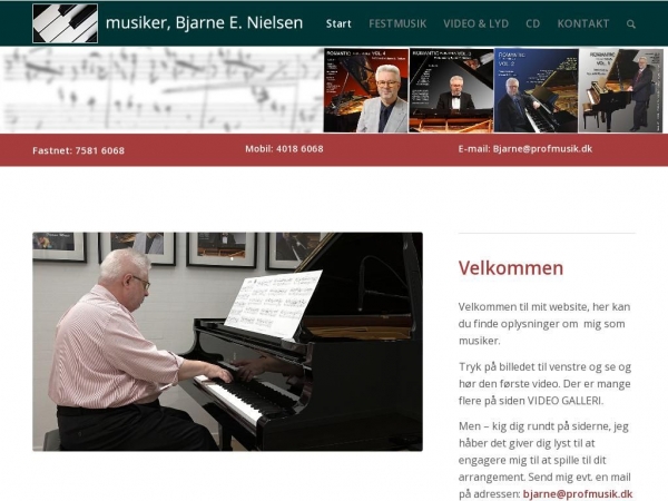 profmusik.dk