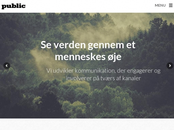public.dk