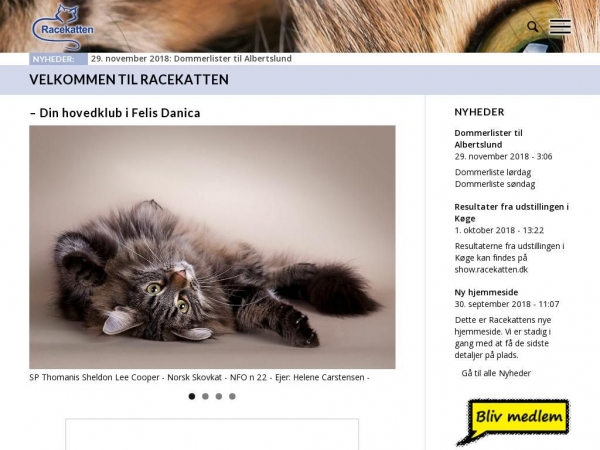 racekatten.dk
