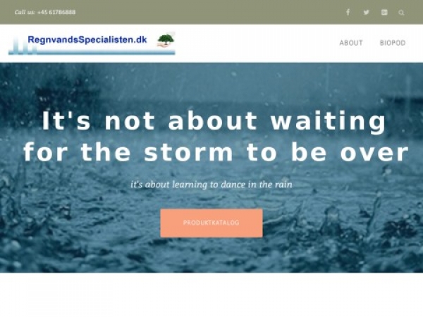 regnvandsspecialisten.dk