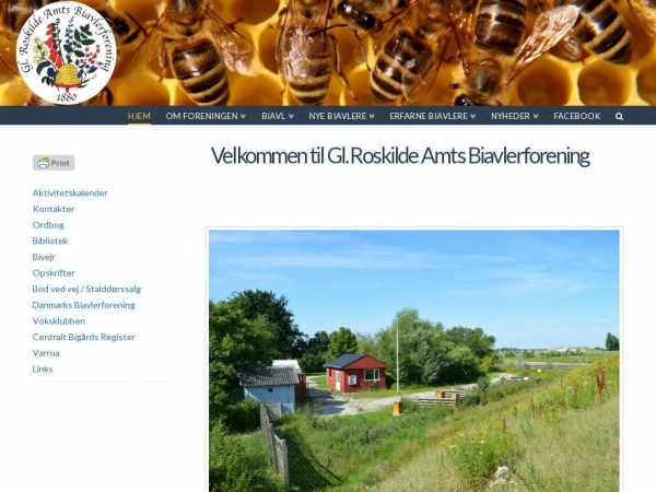 roskildebi.dk