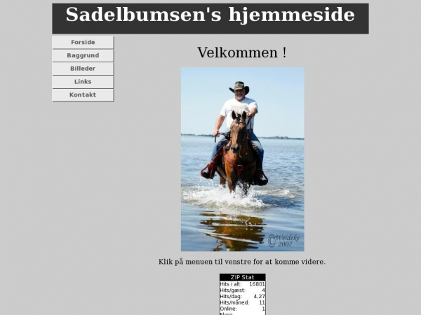 sadelbumsen.dk