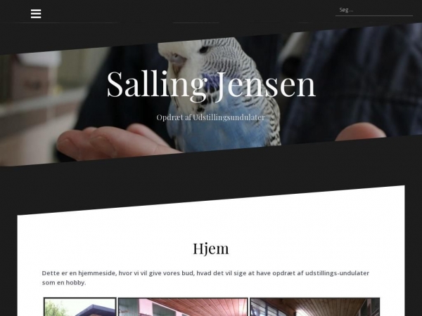 salling-jensen.dk