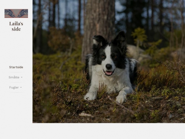sauen.dk