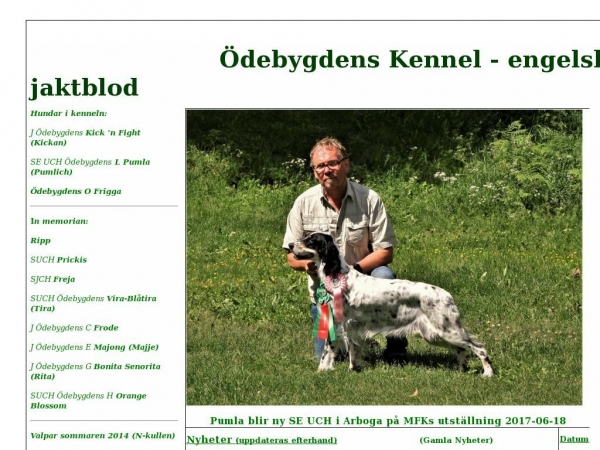 setter.dk