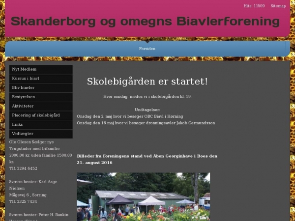 skanderbi.dk