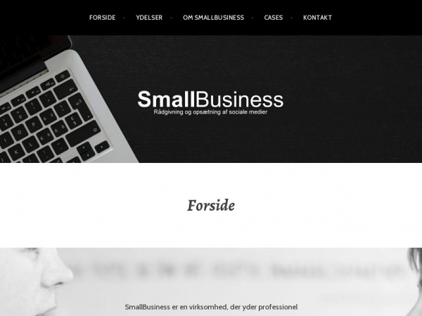 smallbusiness.dk