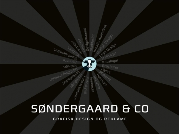 soendergaard-co.dk