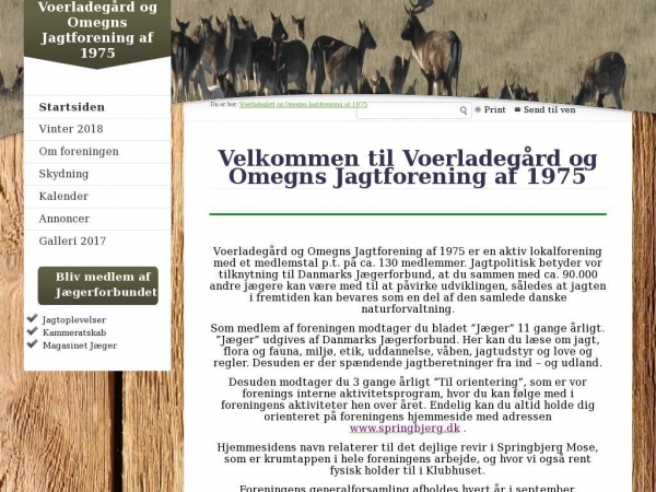 springbjerg.dk