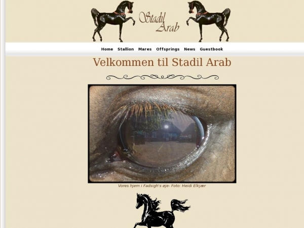 stadilarab.dk