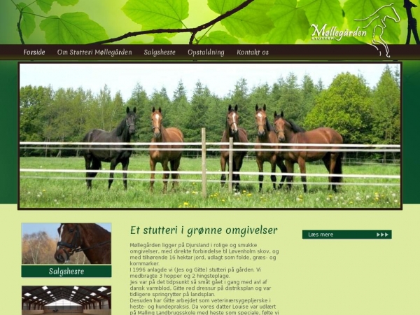 stutteri-moellegaarden.dk