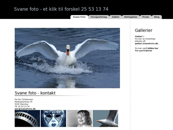 svanefoto.dk
