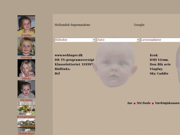 swp.dk