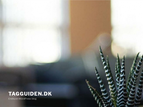 tagguiden.dk