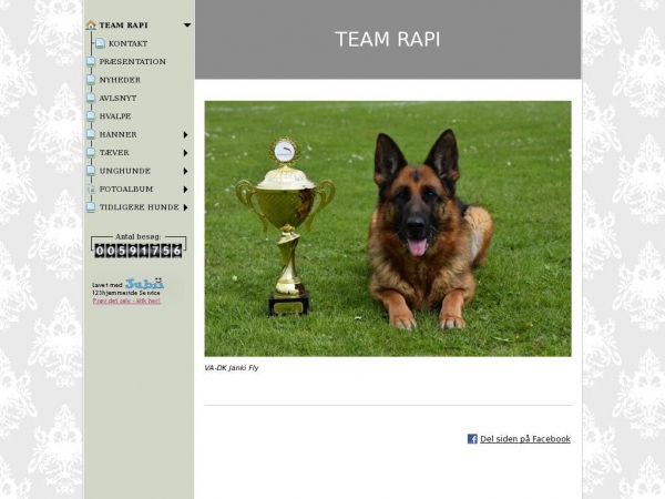 teamrapi.dk