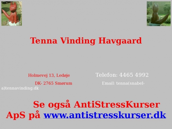 tennavinding.dk