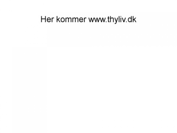 thyliv.dk