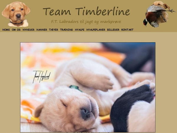 timberline.dk