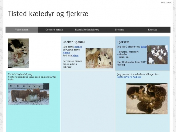 tisted.dk