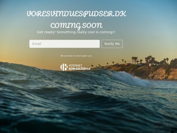 voresvinduespudser.dk