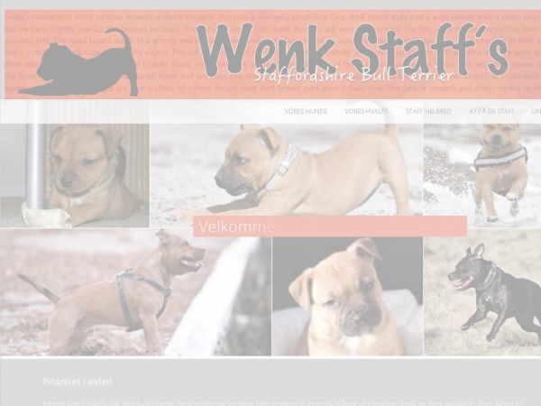 wenk-staff.dk