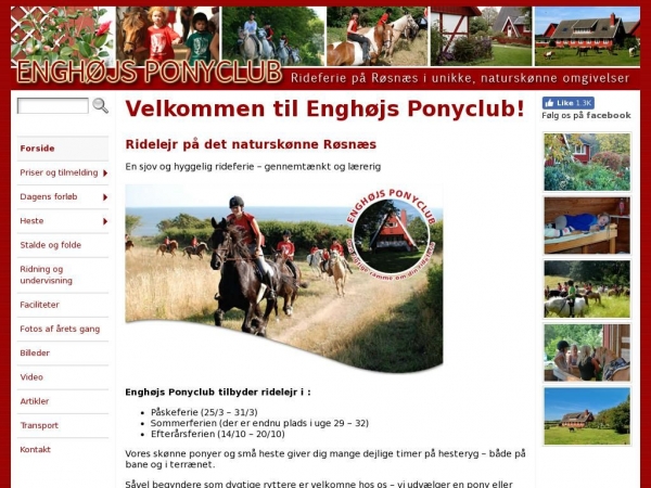 xn--enghjsponyclub-tqb.dk